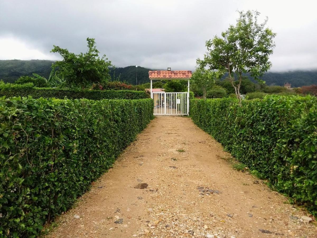 C&H Casa Campestre El Oasis Ricaurte Girardot住宿加早餐旅馆 外观 照片