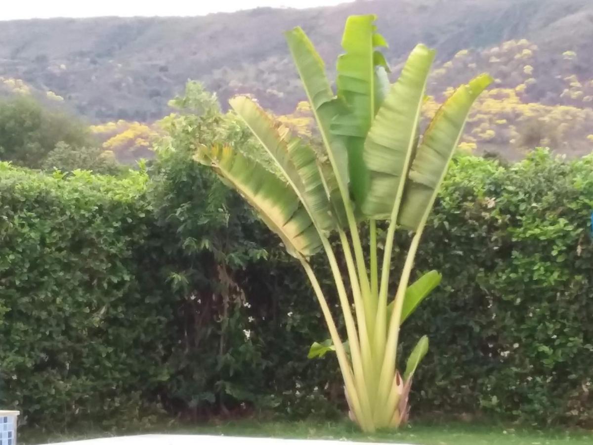 C&H Casa Campestre El Oasis Ricaurte Girardot住宿加早餐旅馆 外观 照片